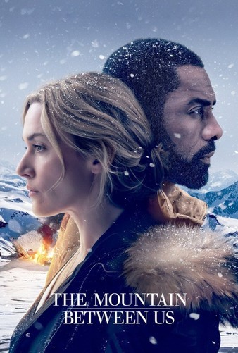 The.Mountain.Between.Us.2017.2160p.BluRay.x264.8bit.SDR.DTS-HD.MA.7.1-SWTYBLZ