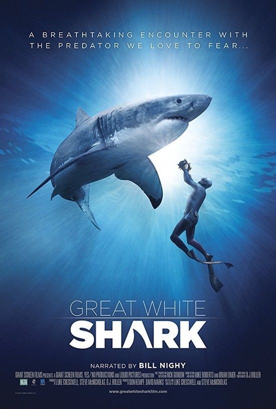 Great.White.Shark.2013.DOCU.2160p.BluRay.x265.10bit.SDR.DTS-HD.MA.5.1-WhiteRhino