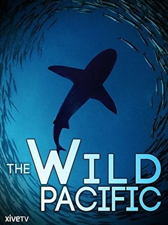 The.Wild.Pacific.2015.DOCU.2160p.BluRay.x265.10bit.SDR.DTS-HD.MA.5.1-SWTYBLZ