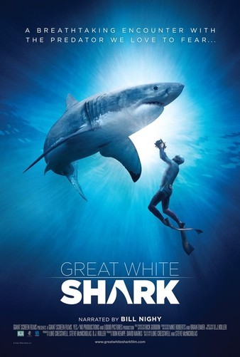 Great.White.Shark.2013.DOCU.2160p.BluRay.x264.8bit.SDR.DTS-HD.MA.5.1-SWTYBLZ