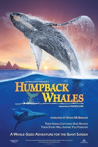 Humpback.Whales.2015.2160p.BluRay.x265.10bit.HDR.TrueHD.7.1.Atmos-WhiteRhino