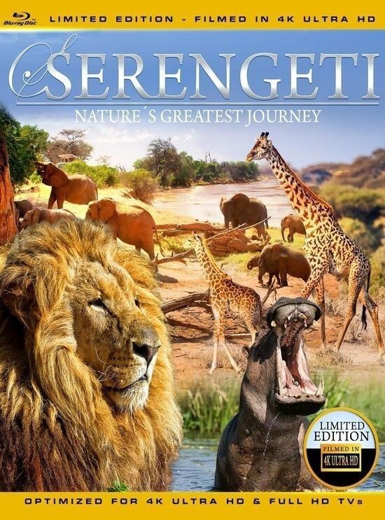 Serengeti.Natures.Greatest.Journey.2015.DOCU.2160p.BluRay.x265.10bit.SDR.DTS-HD.MA.5.1-GUACAMOLE