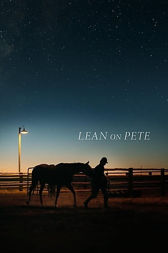 Lean.on.Pete.2017.1080p.BluRay.REMUX.AVC.DTS-HD.MA.5.1-FGT