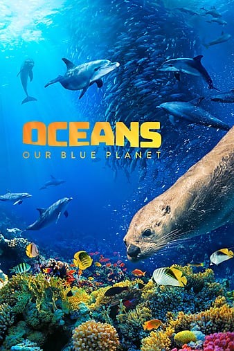 Oceans.Our.Blue.Planet.2018.DOCU.2160p.BluRay.x264.8bit.SDR.DTS-HD.MA.5.1-SWTYBLZ