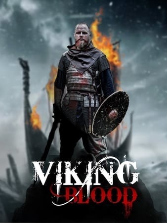 Viking.Blood.2019.1080p.WEB-DL.DD5.1.H264-FGT
