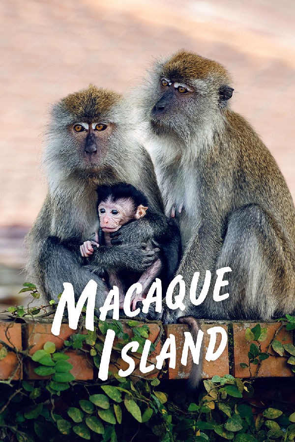 [BT下载][猕猴岛 Macaque Island 第一季][全03集][英语无字][MKV][1080P][片源]