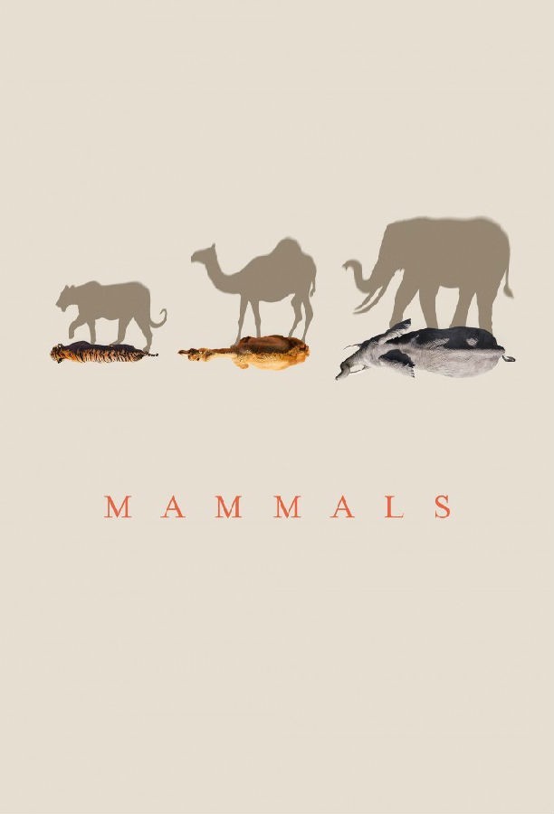 [BT下载][哺乳动物星球 Mammals 第一季][全06集][英语无字][MKV][2160P][WEB-RAW 