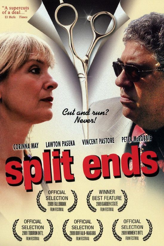 Split.Ends.2009.1080p.WEBRip.DD2.0.x264-monkee