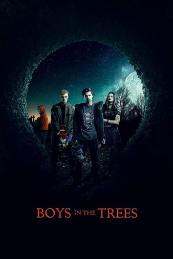 Boys.in.the.Trees.2016.1080p.WEB-DL.DD5.1.H264-FGT