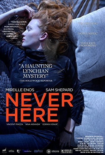 Never.Here.2017.1080p.WEB-DL.DD5.1.H264-FGT
