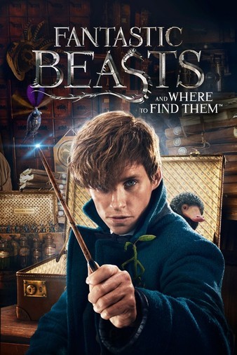 Fantastic.Beasts.and.Where.to.Find.Them.2016.2160p.BluRay.REMUX.HEVC.DTS-HD.MA.TrueHD.7.1.Atmos-FGT
