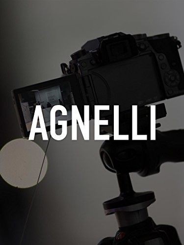Agnelli.2017.1080p.AMZN.WEBRip.DDP5.1.x264-monkee