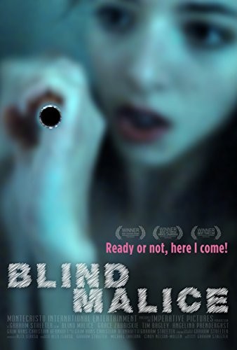 Blind.Malice.2014.1080p.WEBRip.x264-iNTENSO