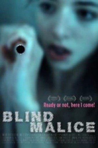 Blind.Malice.2014.1080p.WEBRip.AAC2.0.x264-FGT