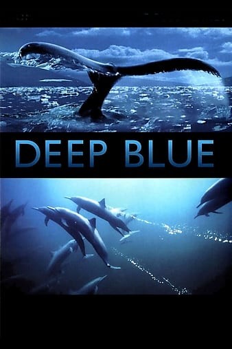 Deep.Blue.2003.1080p.BluRay.x264-LCHD