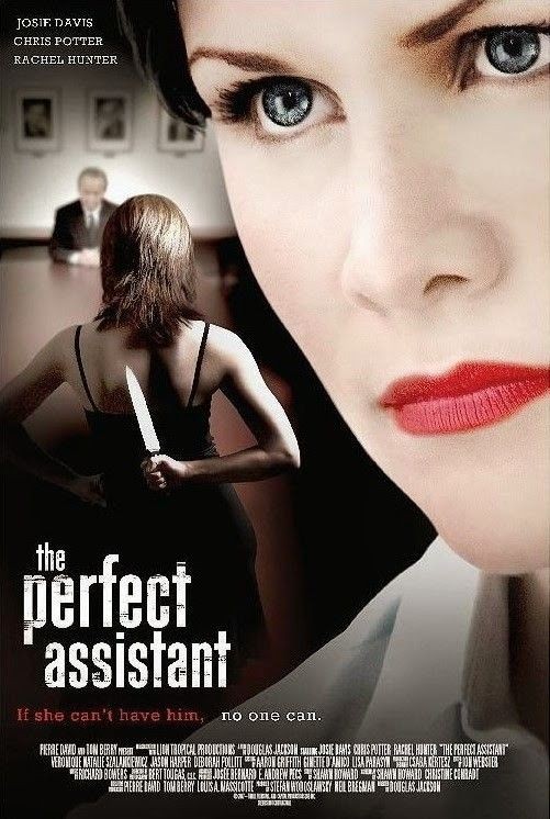 The.Perfect.Assistant.2008.1080p.AMZN.WEBRip.DDP2.0.x264-ABM