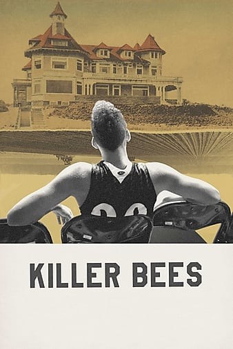 Killer.Bees.2017.1080p.AMZN.WEBRip.DD5.1.x264-QOQ