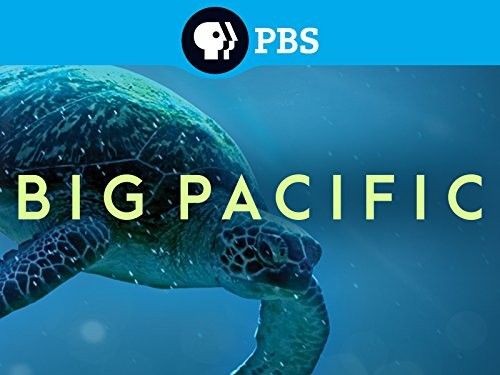 Big.Pacific.2017.S01.2160p.BluRay.HEVC.DTS-HD.MA.2.0-PRECELL