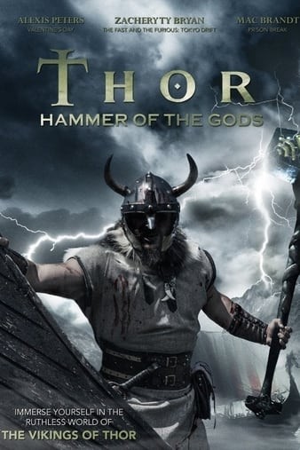 Thor.Hammer.of.the.Gods.2009.1080p.BluRay.x264-SWAGGERHD