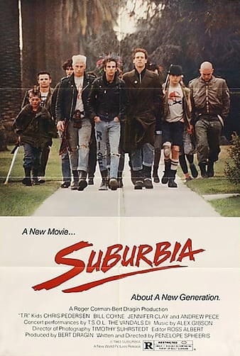 Suburbia.1983.1080p.BluRay.REMUX.AVC.DTS-HD.MA.2.0-FGT